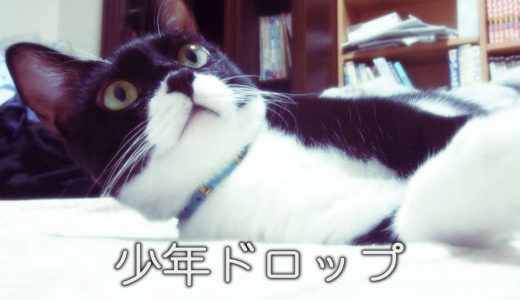 創作ページ全般更新